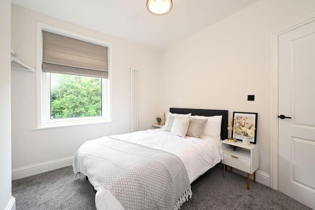 Stunning Spacious Duplex With Garden 141A Hastings Buitenkant foto